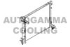 AUTOGAMMA 107099 Radiator, engine cooling